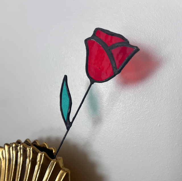 Rose éternelle 