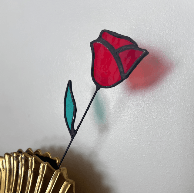 Rose éternelle 